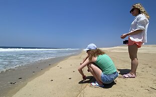 Beachfront Paradise Boutique Hotel