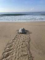 Beachfront Paradise Boutique Hotel