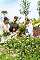 Ikos Odisia - All Inclusive