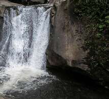 Sana Aluguel Economico