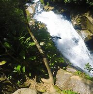 Sana Aluguel Economico