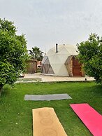 Mandalin Glamping