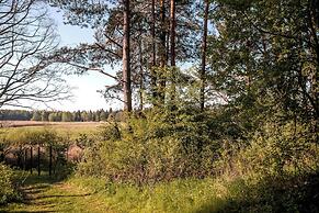 In The Woods Hut in the Forest 5 km From Suprasl