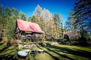 In The Woods Hut in the Forest 5 km From Suprasl