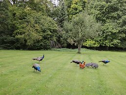 The Roost