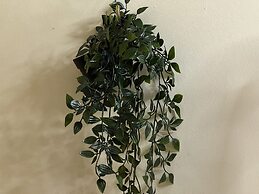 Pied-A-Terre Mont-Royal