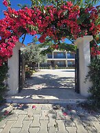 OLIVE TREE APART HOTEL