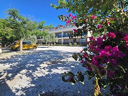 OLIVE TREE APART HOTEL