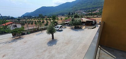 OLIVE TREE APART HOTEL