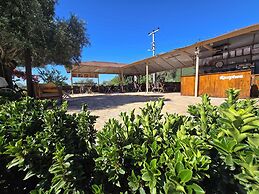 OLIVE TREE APART HOTEL