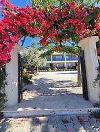 OLIVE TREE APART HOTEL