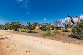 2072 Trulli li Corsari - Trullo Piccolo by Barbarhouse