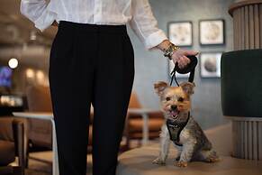 Holiday Inn Chicago O'Hare – Rosemont by IHG