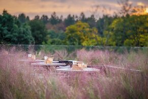 Hotel Indigo Anji by IHG