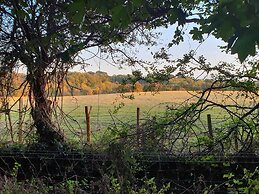 Chestnut Meadow Country Park