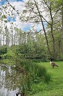 Warren Wood Country Park