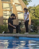 Domos Dream hotel cabañas