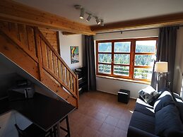 Cihlarka Mountain View Apartment