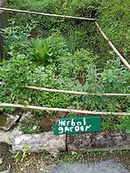 Berkey's Jungle Paradise