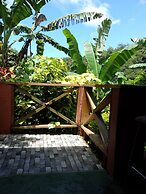 Berkey's Jungle Paradise