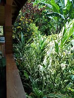 Berkey's Jungle Paradise