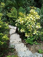 Berkey's Jungle Paradise