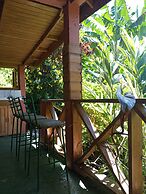 Berkey's Jungle Paradise
