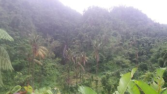 Berkey's Jungle Paradise