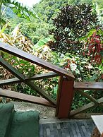 Berkey's Jungle Paradise
