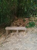 Berkey's Jungle Paradise