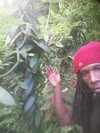 Berkey's Jungle Paradise