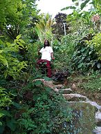 Berkey's Jungle Paradise