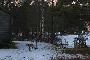 Beautiful 4-5 Persons Cottage in Alvdalen