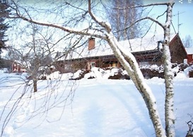 Beautiful 4-5 Persons Cottage in Alvdalen