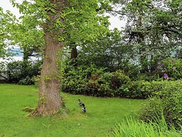 Ynys Castell