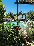 Palm View Guesthouse-Adults only
