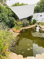 Palm View Guesthouse-Adults only