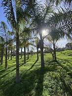 Palm View Guesthouse-Adults only