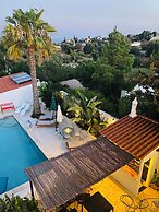Palm View Guesthouse-Adults only