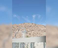 Orbit In- 21 and Over