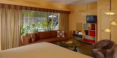 Orbit In- 21 and Over