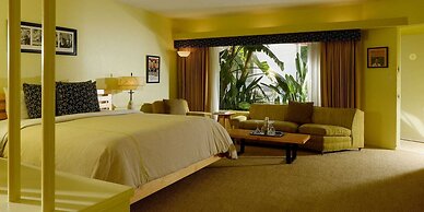 Orbit In- 21 and Over