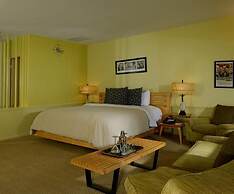 Orbit In- 21 and Over