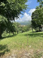 Cosy, pet Friendly Apartment in Netro, Piedmont