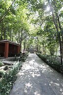 Maajid Quba Hotel&Restaurant Sanatorium