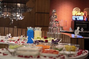 Hotel Snowland Srinagar