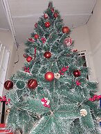 Maya Guest House-GermanColony&BahaiGardn