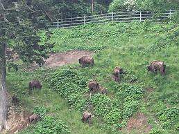 Korona Bieszczad Premium Apartments