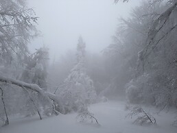 Korona Bieszczad Premium Apartments