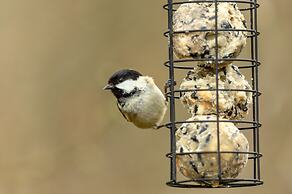 HOVELL HALL  Country B&B